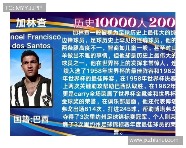 全球足球巨星风采：球场上的荣耀与背后的奋斗故事